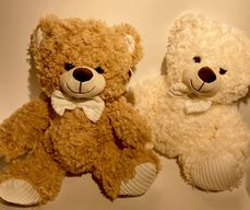 Stuffed Animal