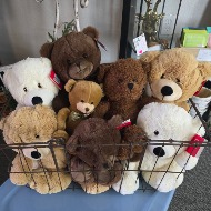 Stuffed Animal