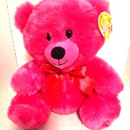 Hot Pink Teddy Bear