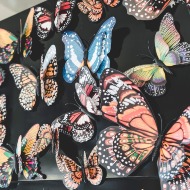 Magnetic Butterflies