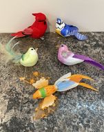 Birds