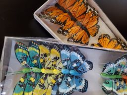 Butterfly or Bird Pick