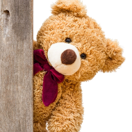 Stuffed Animal