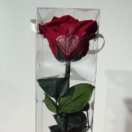 Preserved Rose