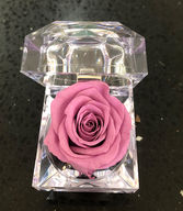 Mini Preserved Rose