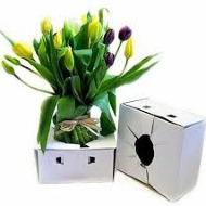 Travel Safe Box
