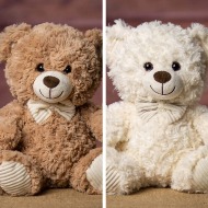 Everyday Teddy Bears