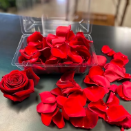 Red Rose Petals