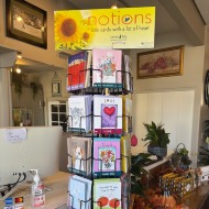 Notions Cards by Leaning Tree all Occasions