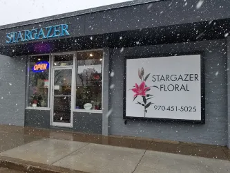 Storefront of Erickson's Stargazer Floral