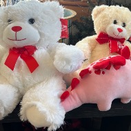 Stuffed Animal
