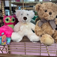 Stuffed Animal