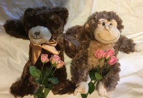 Stuffed Animal