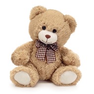 Teddy 12 inches