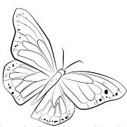 Add A Butterfly