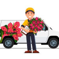 Driver Gratuity