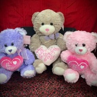 Plush Bear
