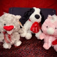 Plush Animals