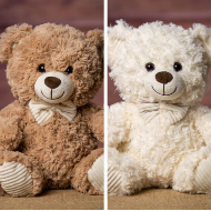 Friendly Face Bear