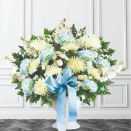 Blue & White Send-Off