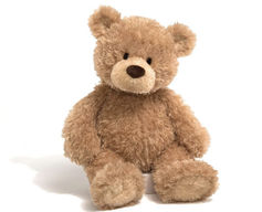 Stuffed Animal