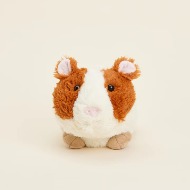 Warmie- Guinea Pig