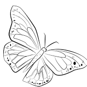 Add A Butterfly