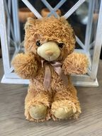 Stuffed Animal - Bear
