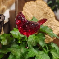 Cardinal Plant Pick