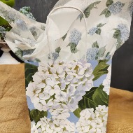 Gift Bag and Tissue