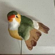 Bird