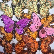 Large butterflies