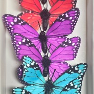 Butterflies