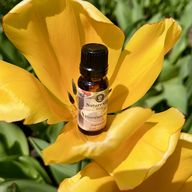 Essential Oils