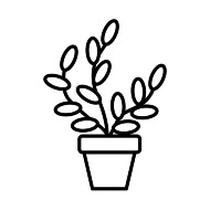Dish Garden