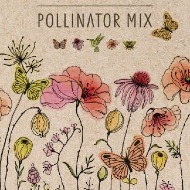 Bentley Seed Co. Packets - Pollinator Mix