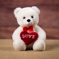 Stuffed Animal
