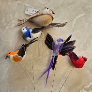 Assorted Bird Picks