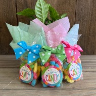 You Deserve Candy