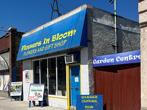 Storefront of Flowers In Bloom