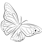Add A Butterfly