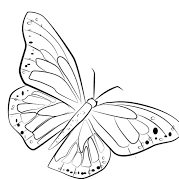 Add A Butterfly