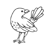Add A Bird