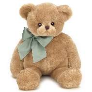 Gus the Teddy Bear