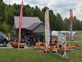 Storefront of Fancy's