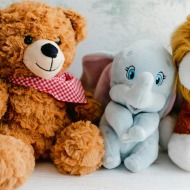 Stuffed Animal (variations may vary)