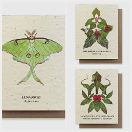 Plantable Cards