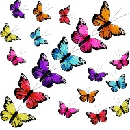 Butterflies