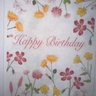 Happy Birthday #2