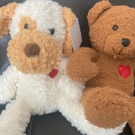 Teddy Bear